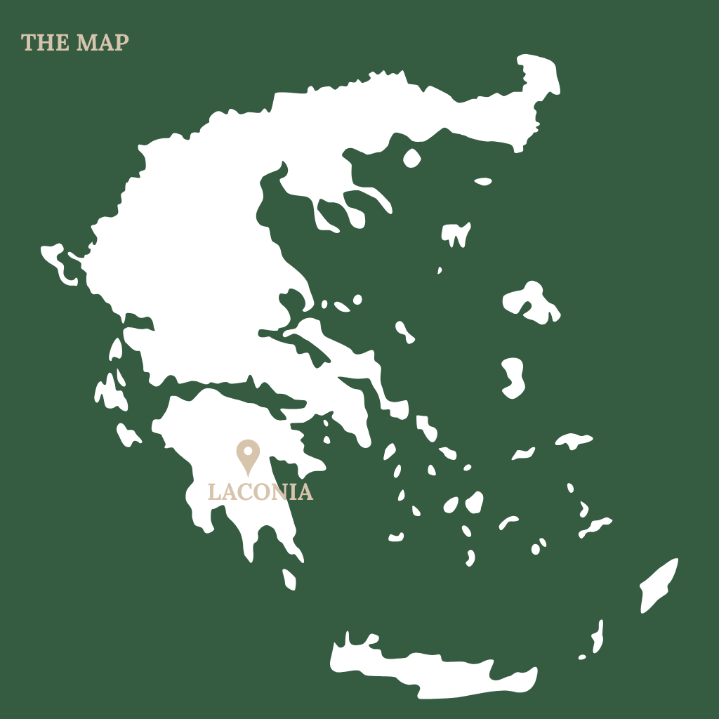 OLIVE HARVEST GREECE MAP