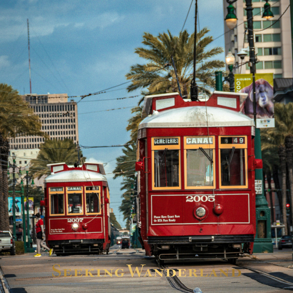 NEW ORLEANS TRAVEL
