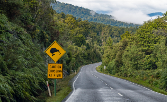 New Zealand
