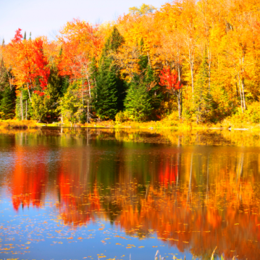 Vermont