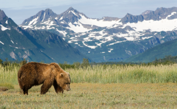 Alaska
